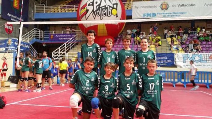 El Salesianos Elche es premiado como la mejor cantera de voleibol de España
