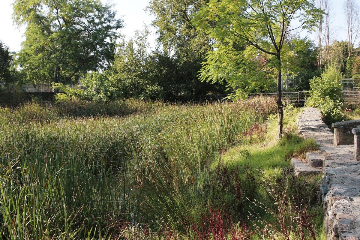 Imagen de archivo de la Ribera del Marco.