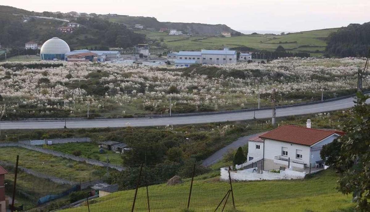 La parálisis de la regeneración de las marismas de Maqua irrita a los vecinos