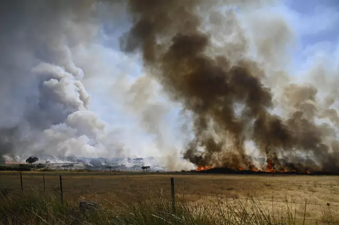 Un incendio en la localidad extremeña de Arroyomolinos arrasa 500 hectáreas y su evolución es "bastante desfavorable"