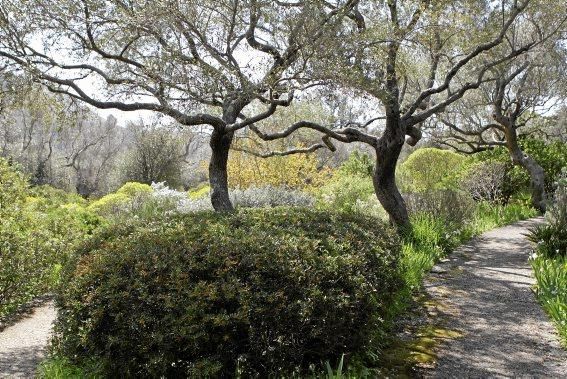 Einer der schönsten Winkel der Insel - das Tal und der Garten von Ariant - kann wieder bei geführten Rundgängen erkundet werden.