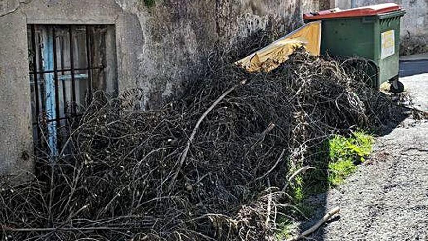 Vecinos alertan de basura sin recoger un mes