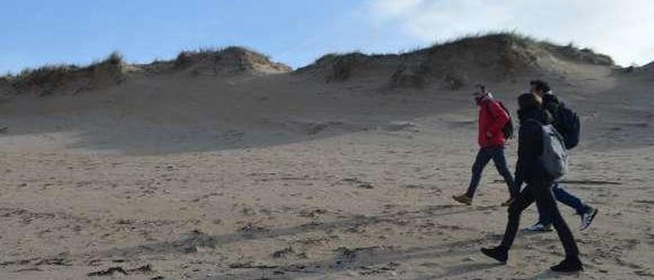 Inspección de la playa de A Lanzada en busca de aves. // BDRI