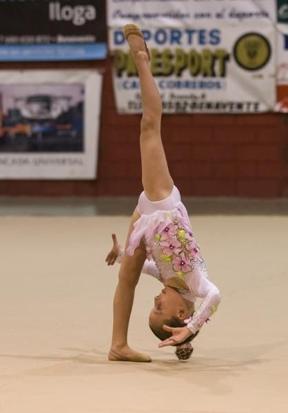 Exhibición de la Escuela de gimnasia rítmica