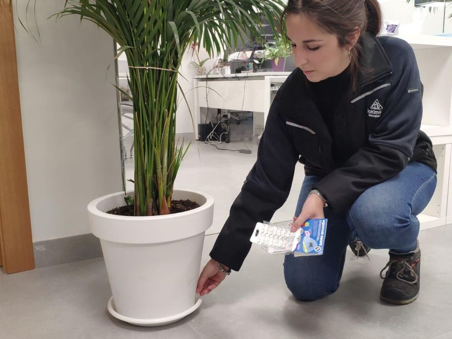 Lokímica facilita el control de plagas en el ámbito doméstico