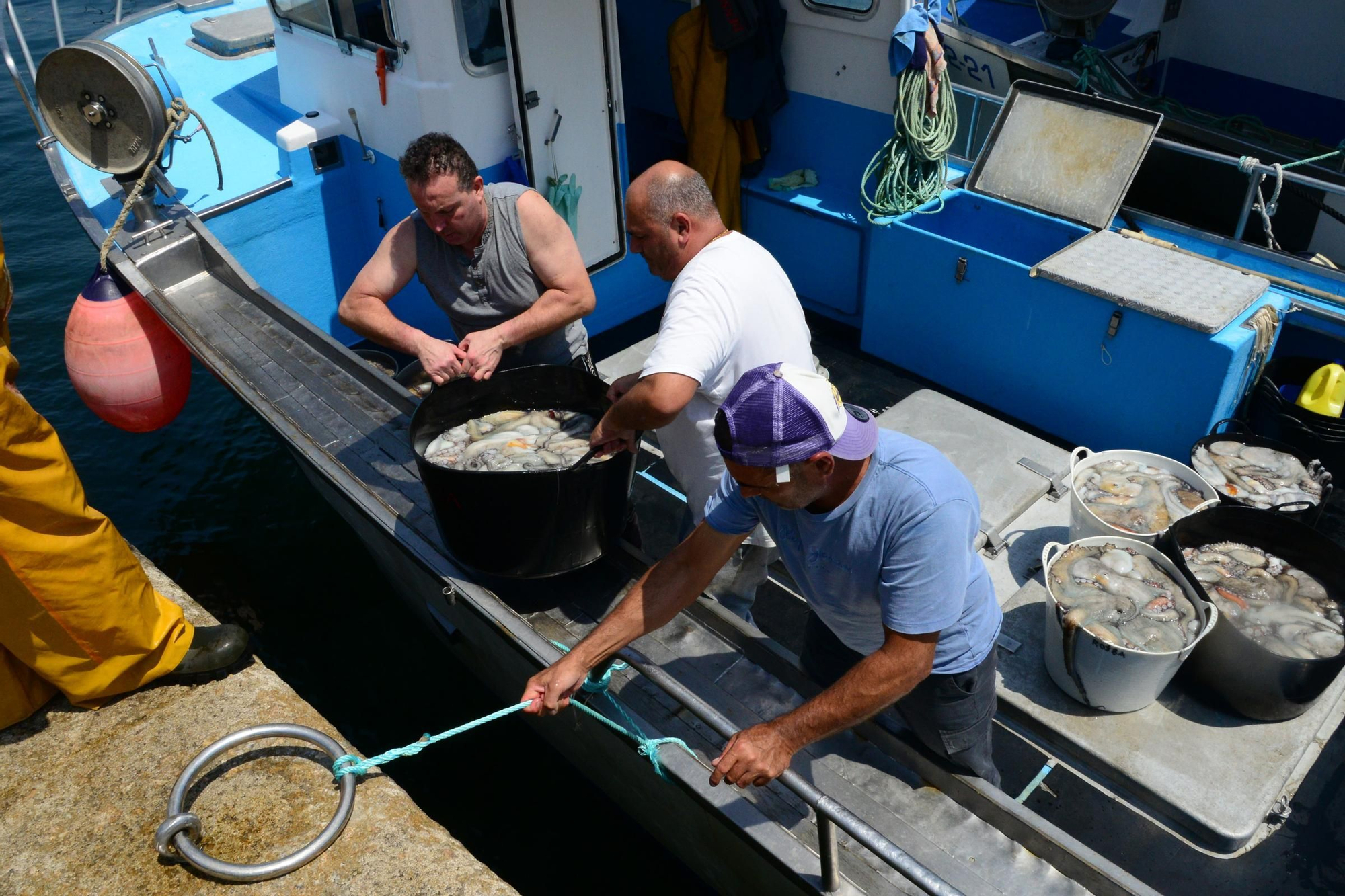 El inicio de la campaña del pulpo en el puerto de Bueu
