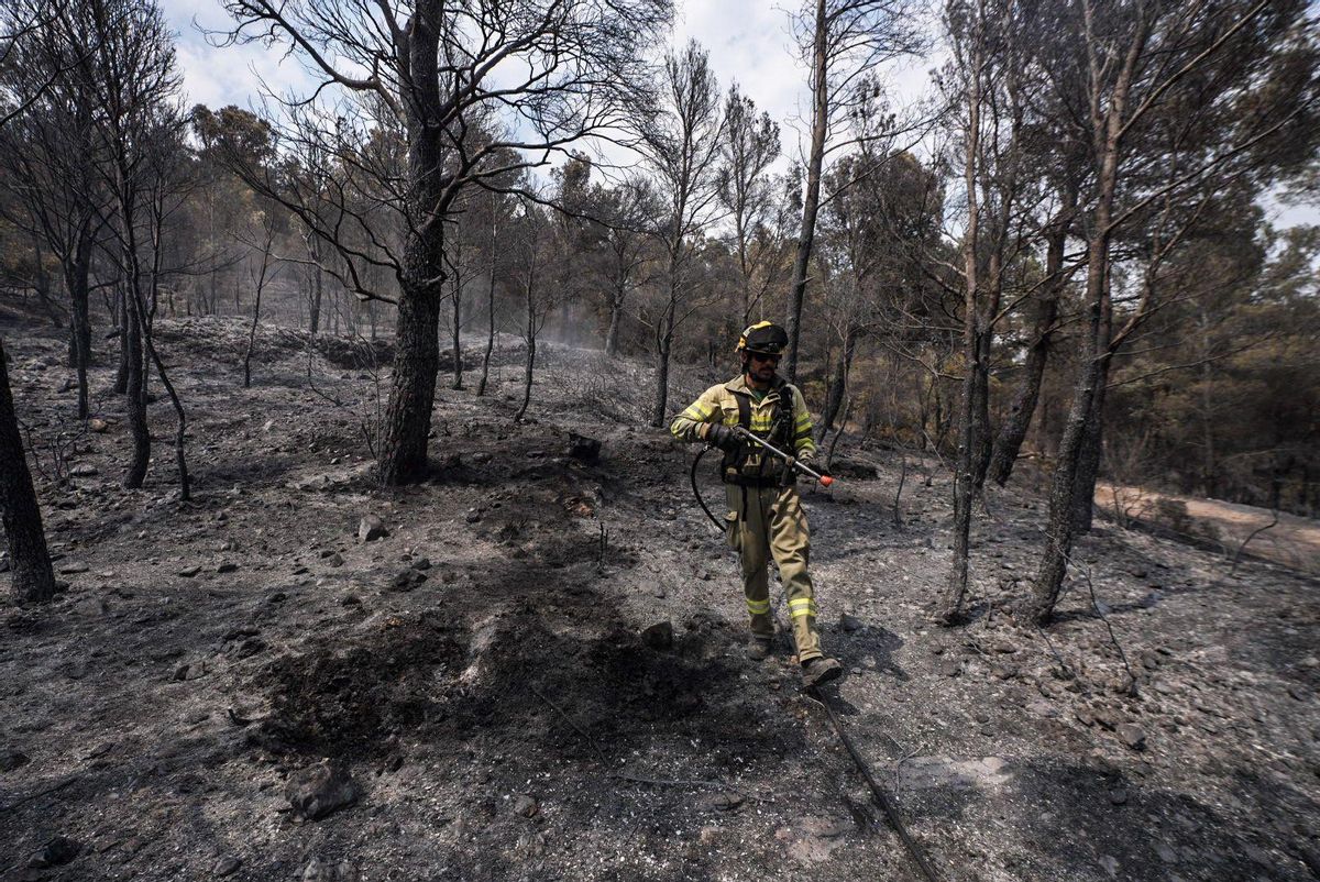Fuego en Baix Ebre. Los bomberos trabajan en el incendio forestal en Paüls, Tarragona, este martes.