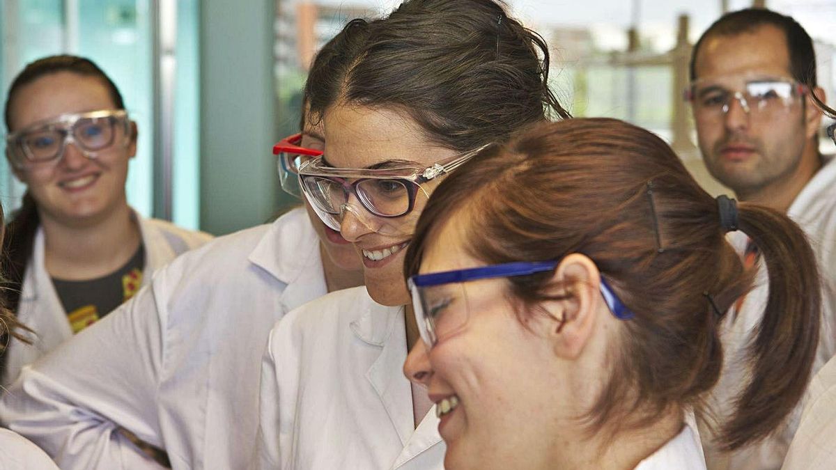 Estudiantes, investigadoras e investigadores de la UA son protagonistas en «Mednight 2020». | INFORMACIÓN