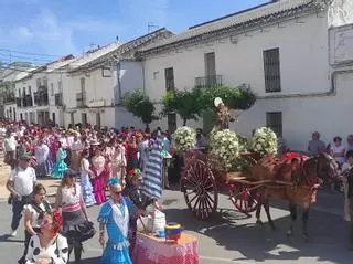 Miles de personas viven la romería de San Isidro en Bujalance