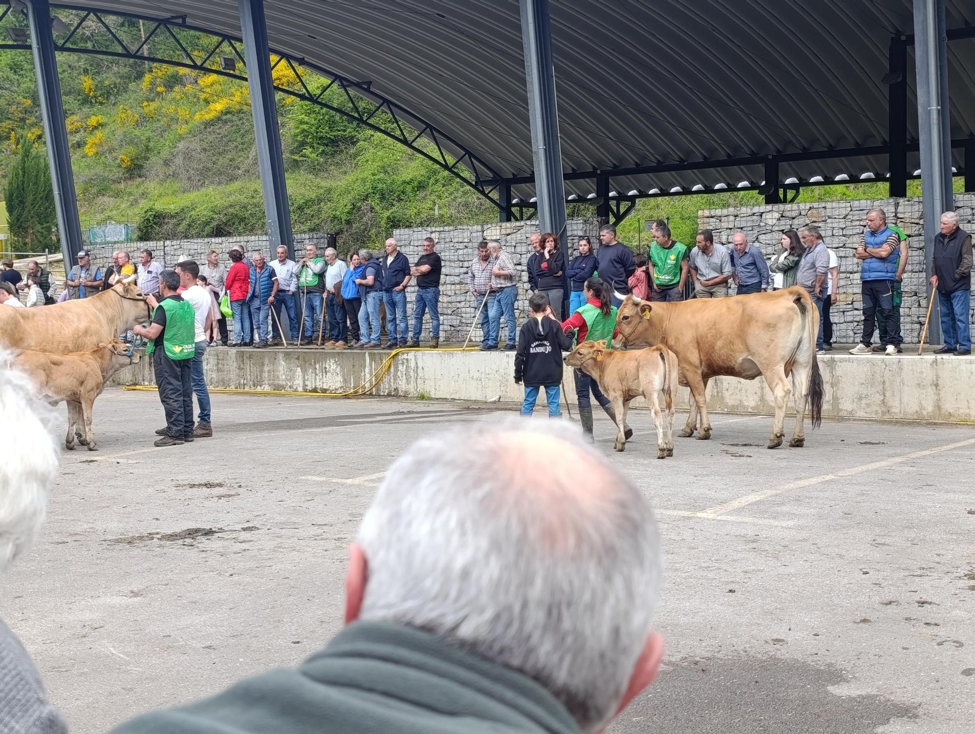 El XXXI Certamen-Exposición de Asturiana de los Valles de Teverga, en imágenes