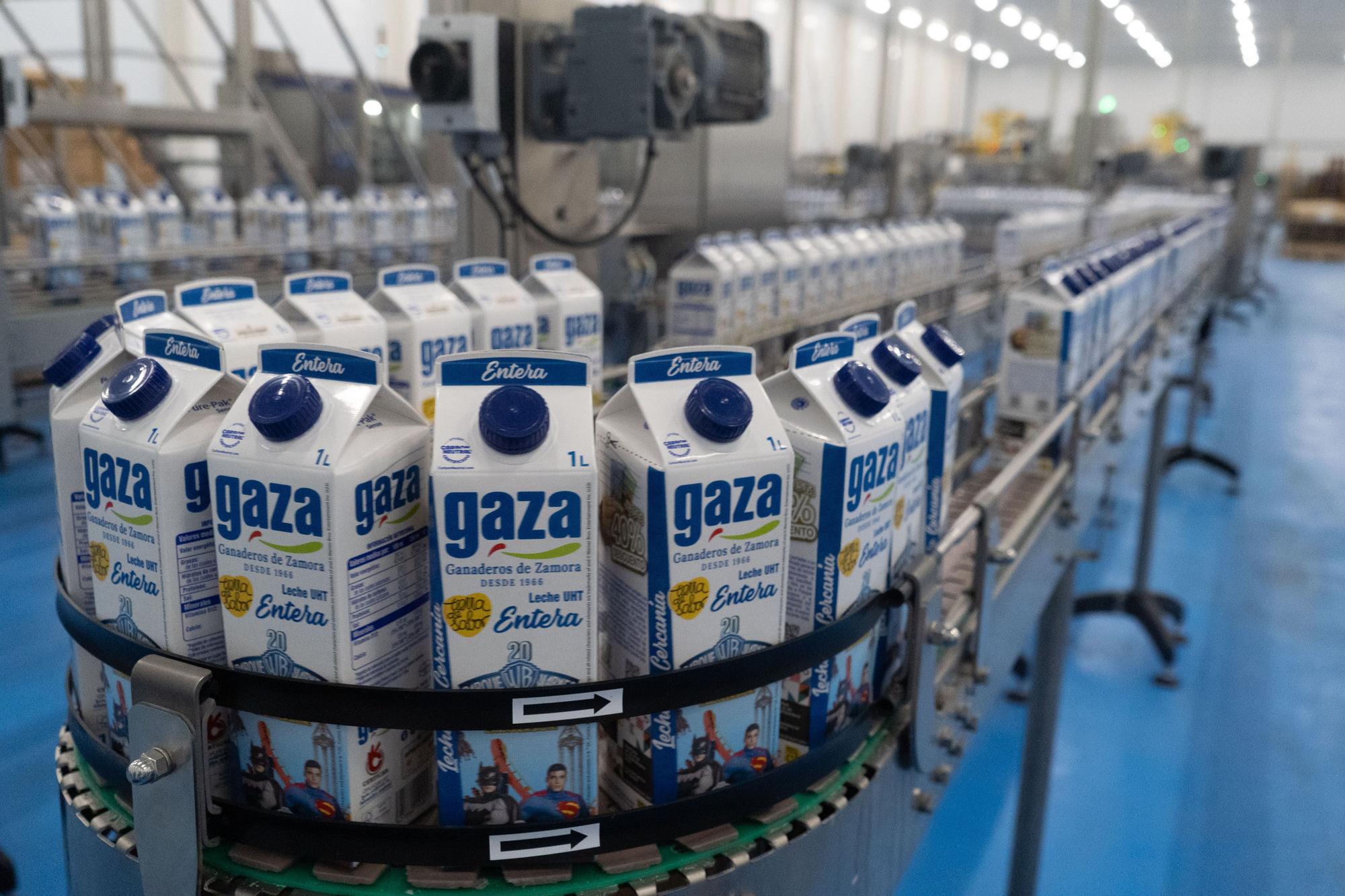 GALERÍA | Así es la nueva fábrica de Leche Gaza en Coreses