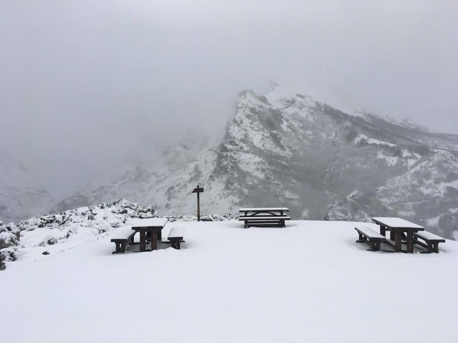 Nieve en Sotres