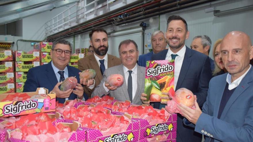 Moreno Ferrer, Mariano Ruiz, Fernández España, Sigfrido Molina y Javier Salas, en las instalaciones.