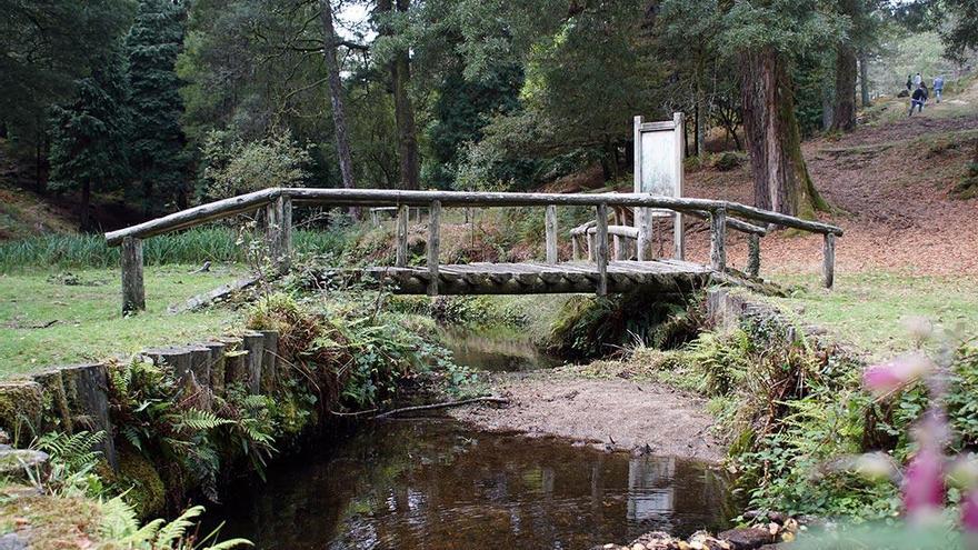 Uno de los tramos de la ruta Cabana del Parque Natural del Monte Aloia.