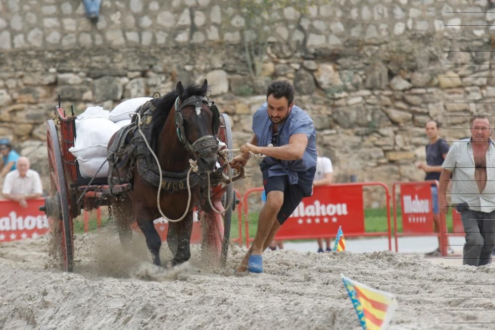 Actividades en el jardín del Túria, el antiguo cauce del río en València.