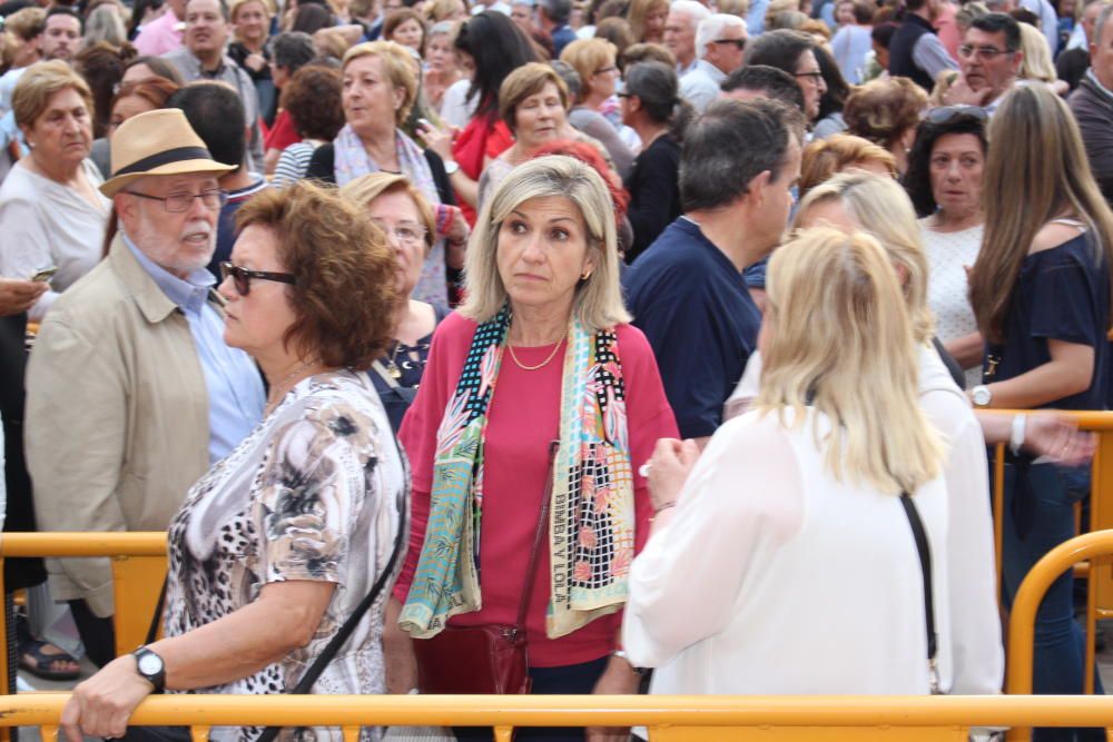 Besamanos a la Virgen de los Desamparados