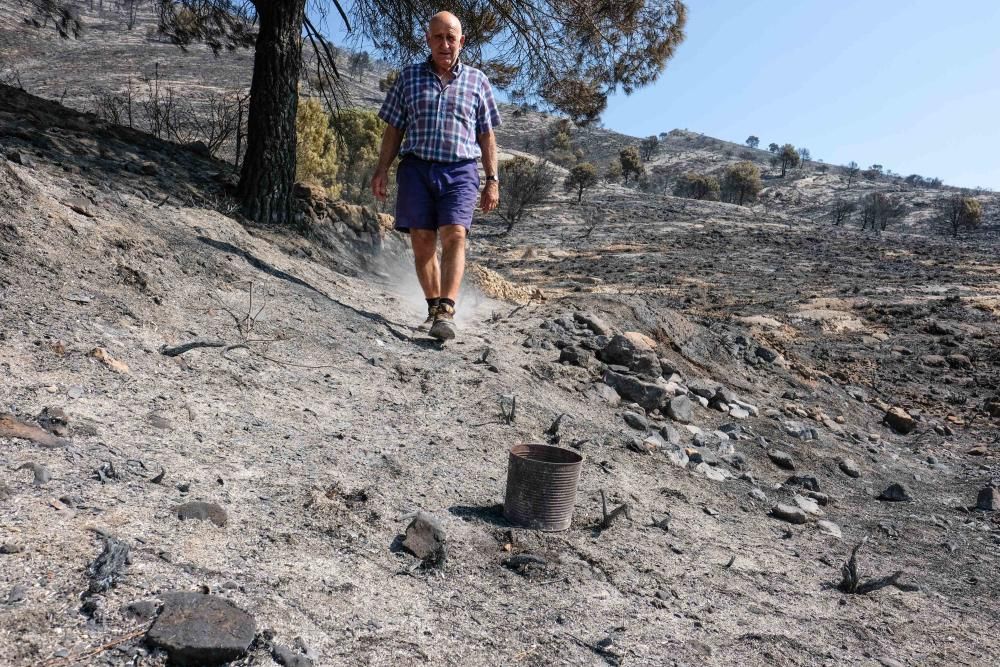 Así ha quedado la zona tras el incendio.