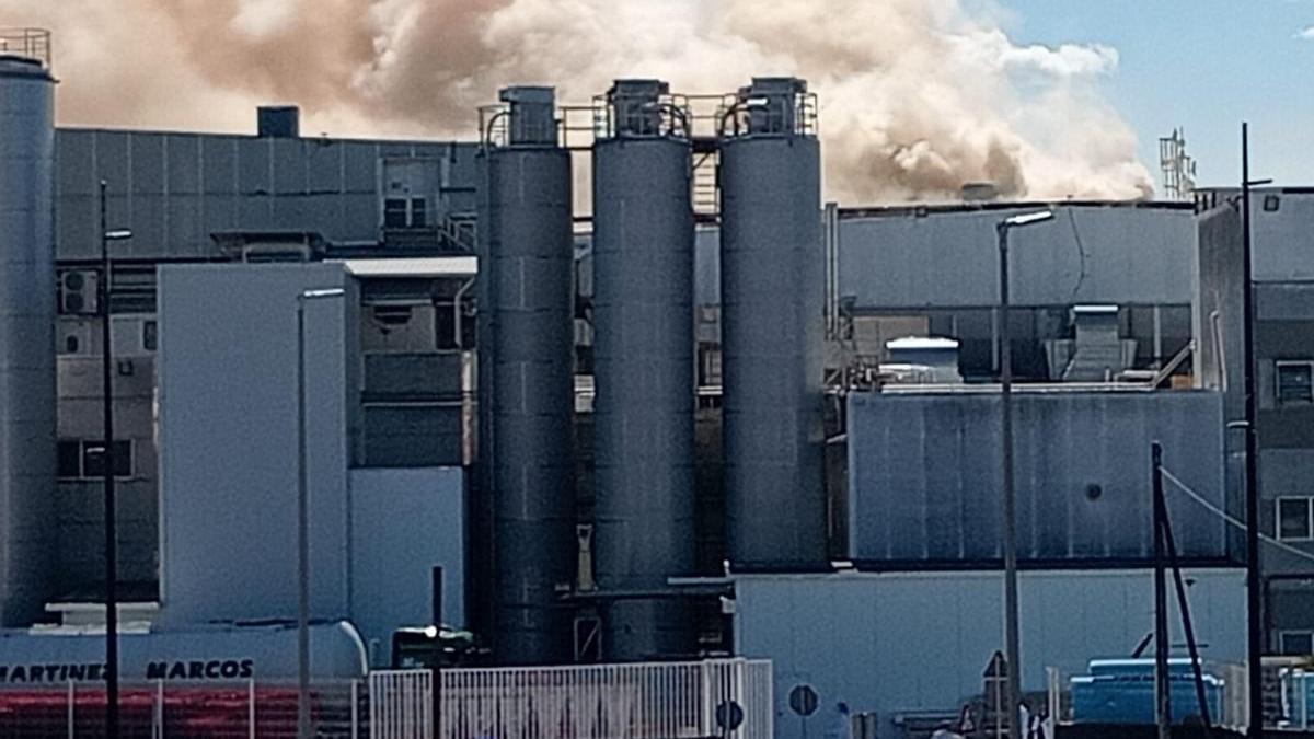 Un incendio afecta a la factoría de Dulcesol en Gandia