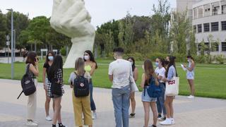 La Universidad de Alicante inicia sus cursos de verano este miércoles