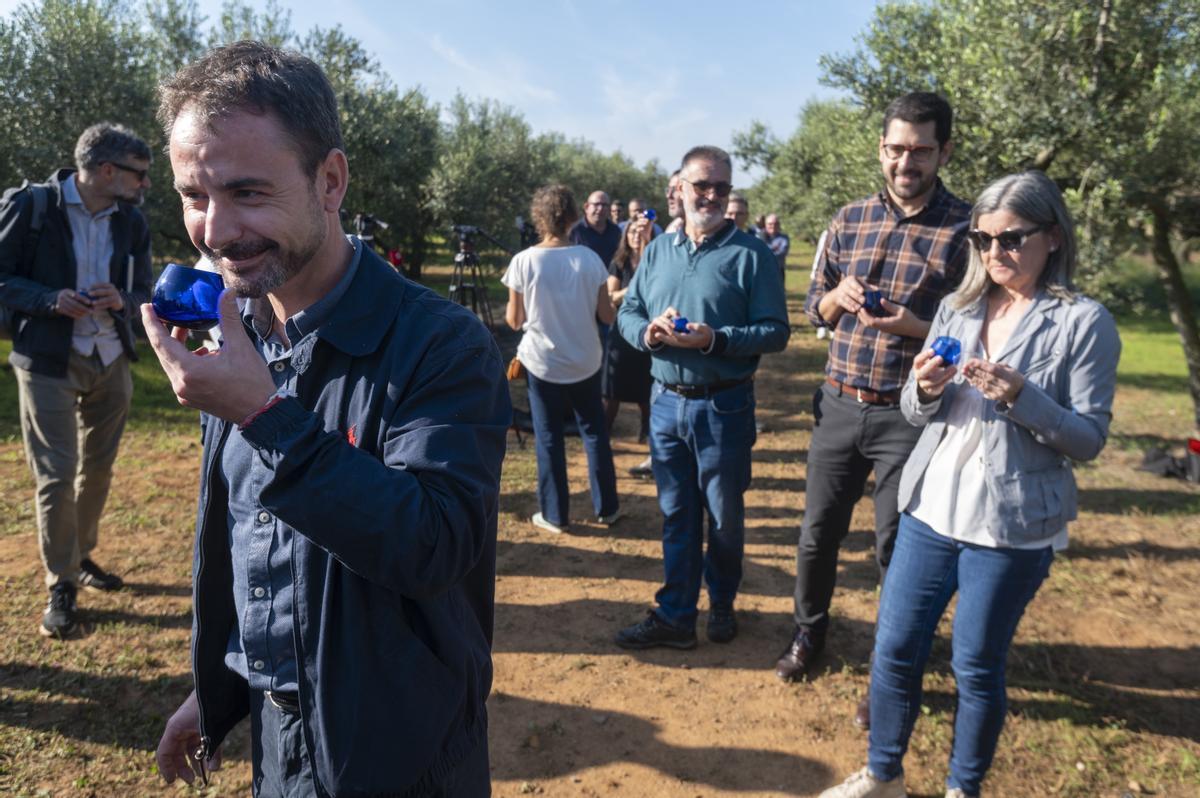 Cata de aceite verde en un campo de olivos de Vila-seca (Tarragonès), el pasado 24 de octubre.