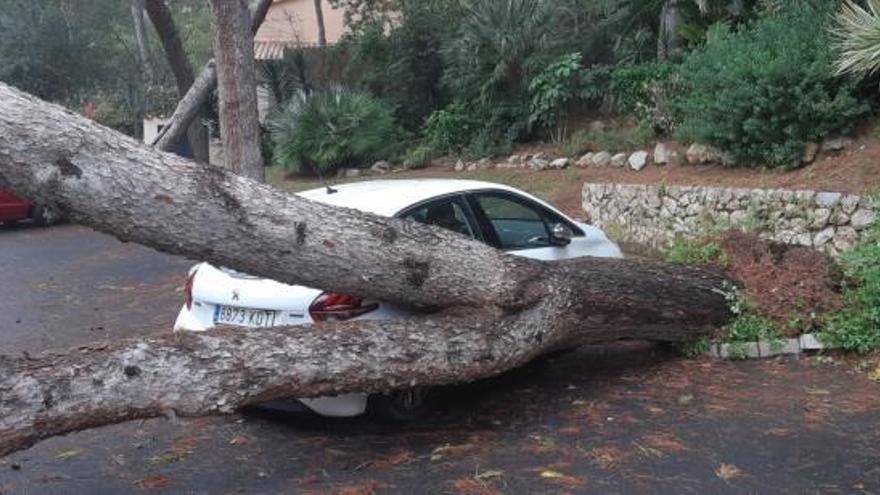 Das Auto wurde wohl nur leicht beschädigt.