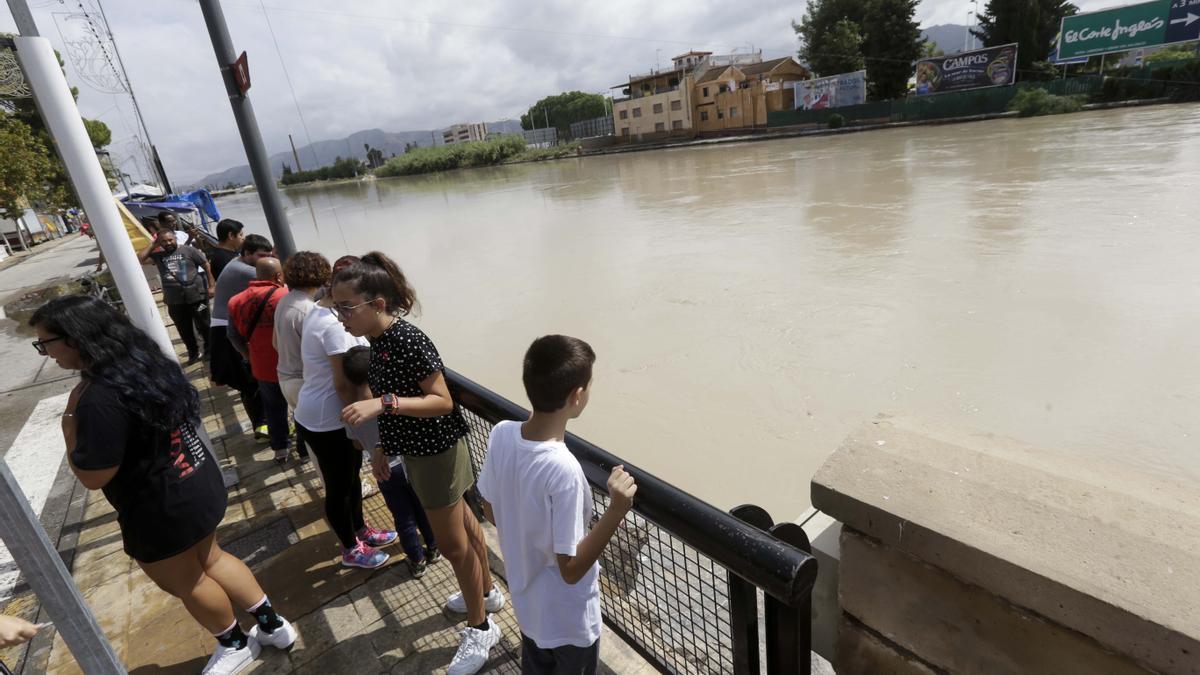 El río Segura, casi desbordado a su paso por Murcia en septiembre de 2019.