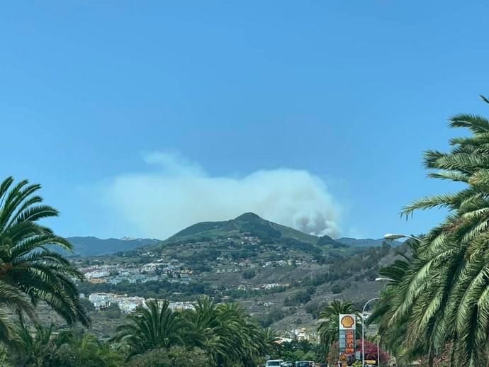 Incendio en la cumbre de Gran Canaria