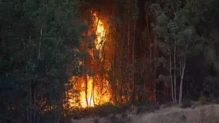 El incendio de Niebla afronta horas clave tras un sábado crítico con más de 4.000 hectáreas afectadas y 400 desalojos en Huelva