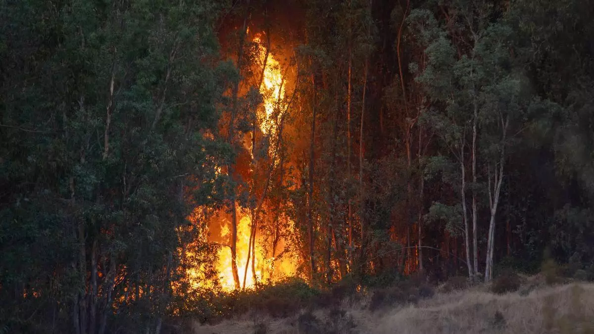 El incendio de Niebla afronta horas clave tras un sábado crítico con más de 4.000 hectáreas afectadas y 400 desalojos en Huelva
