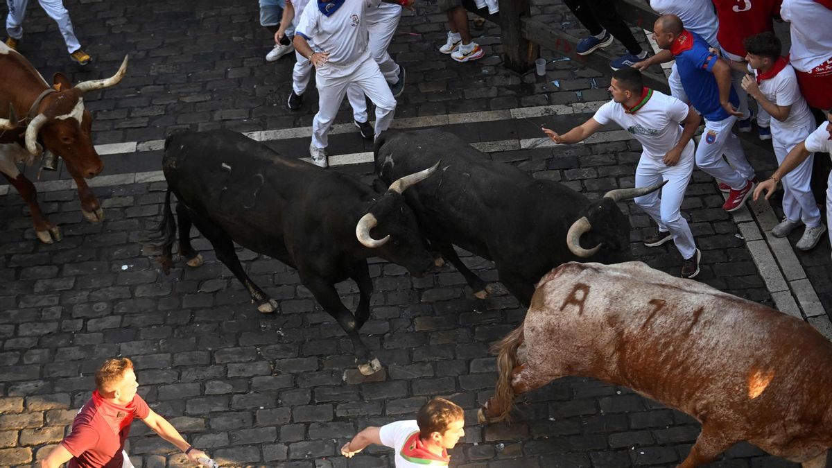 Octavo y último encierro de San Fermín con toros de la ganadería Miura