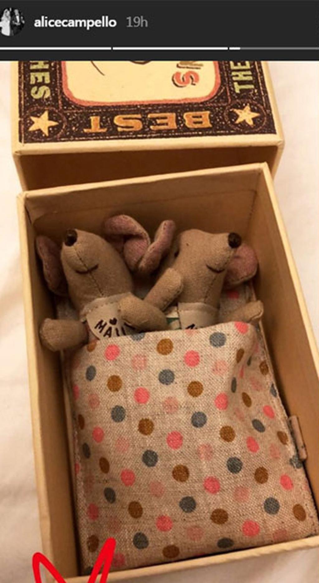Ratoncitos de peluche de regalo navideño para el bebé de Álvaro Morata y Alice Campello