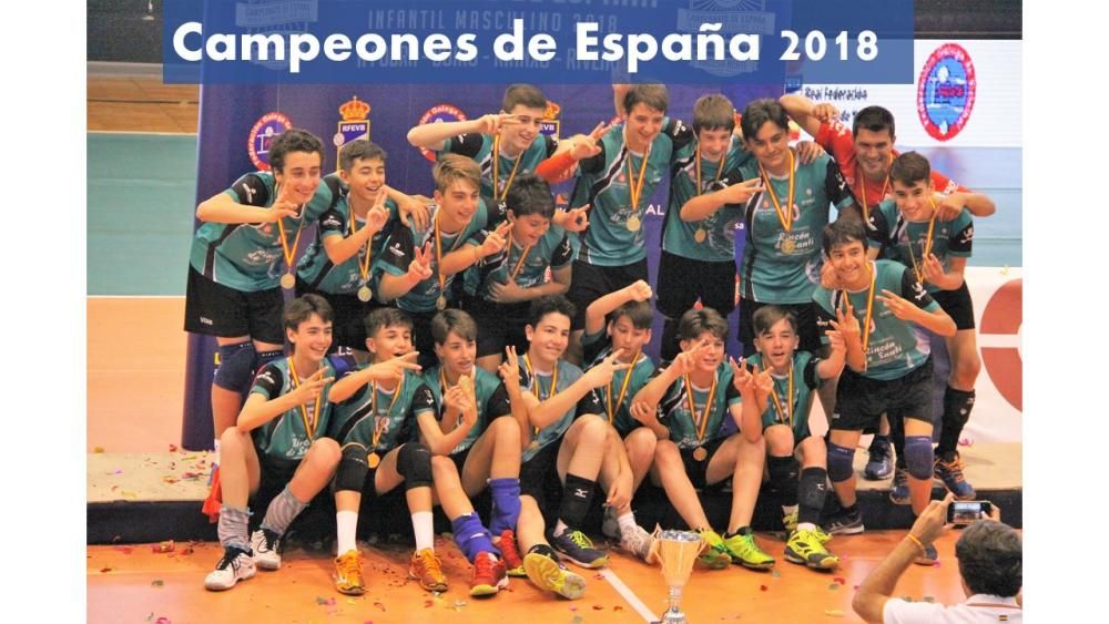 Los mejores equipos que ha dado el Club Voleibol Elche en sus 50 años de historia