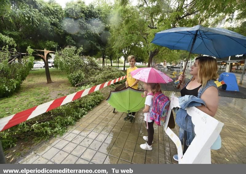 Imágenes de las tormentas en Castellón