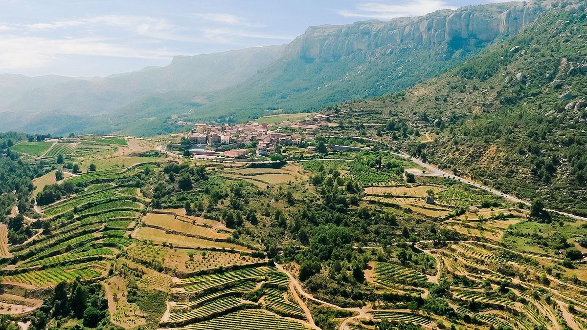 Terrazas de viñedos en el Montsant.