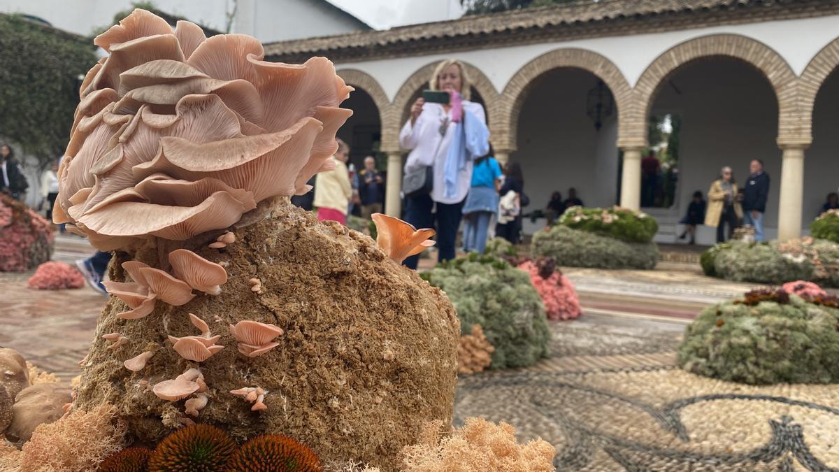 Foto de detalle de la instalación de Cordero Atelier en el Palacio de Viana.