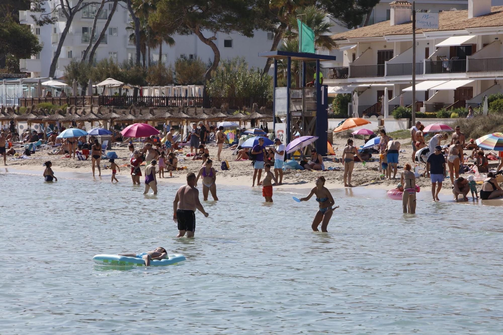 Sommer-Urlaub im Oktober: So sieht es derzeit am Strand von Alcúdia auf Mallorca aus