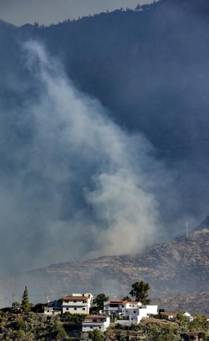 TEJEDA. Incendio en La Cumbre.  | 11/08/2019 | Fotógrafo: José Pérez Curbelo