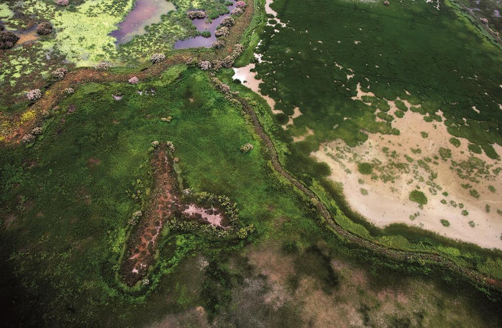 Vista aérea del corazón de Doñana desde una avioneta.