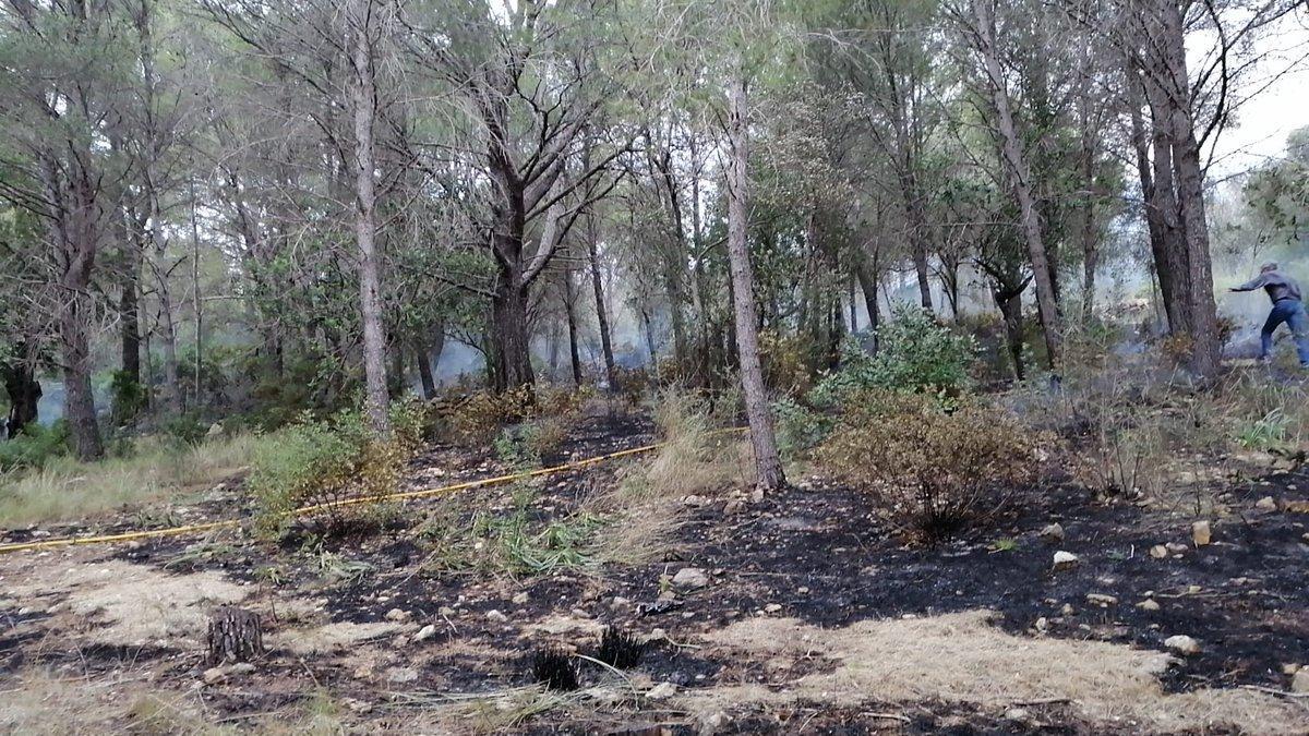 Los servicios de extinción tratan de sofocar las llamas en el incendio de Alcúdia.