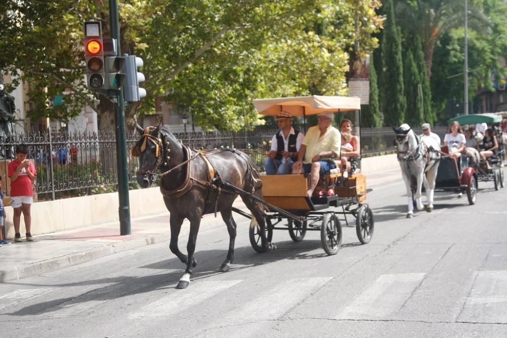 Día del caballo en la Feria de Murcia 2018