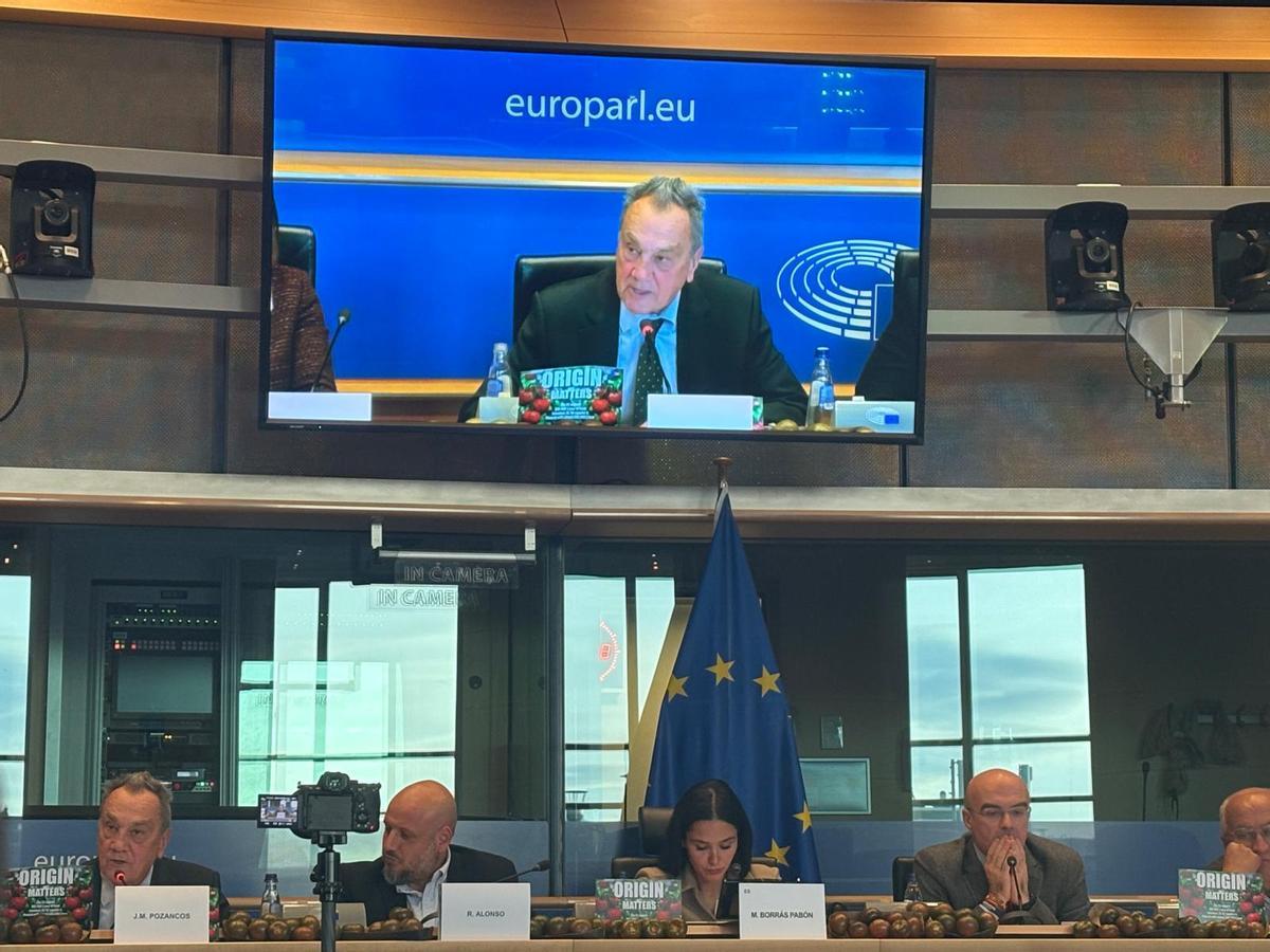 Mesa redonda sobre 'Competencia desleal: el Acuerdo UE-Marruecos. Valores de la UE en venta', esta semana en la sede del Parlamento Europeo.