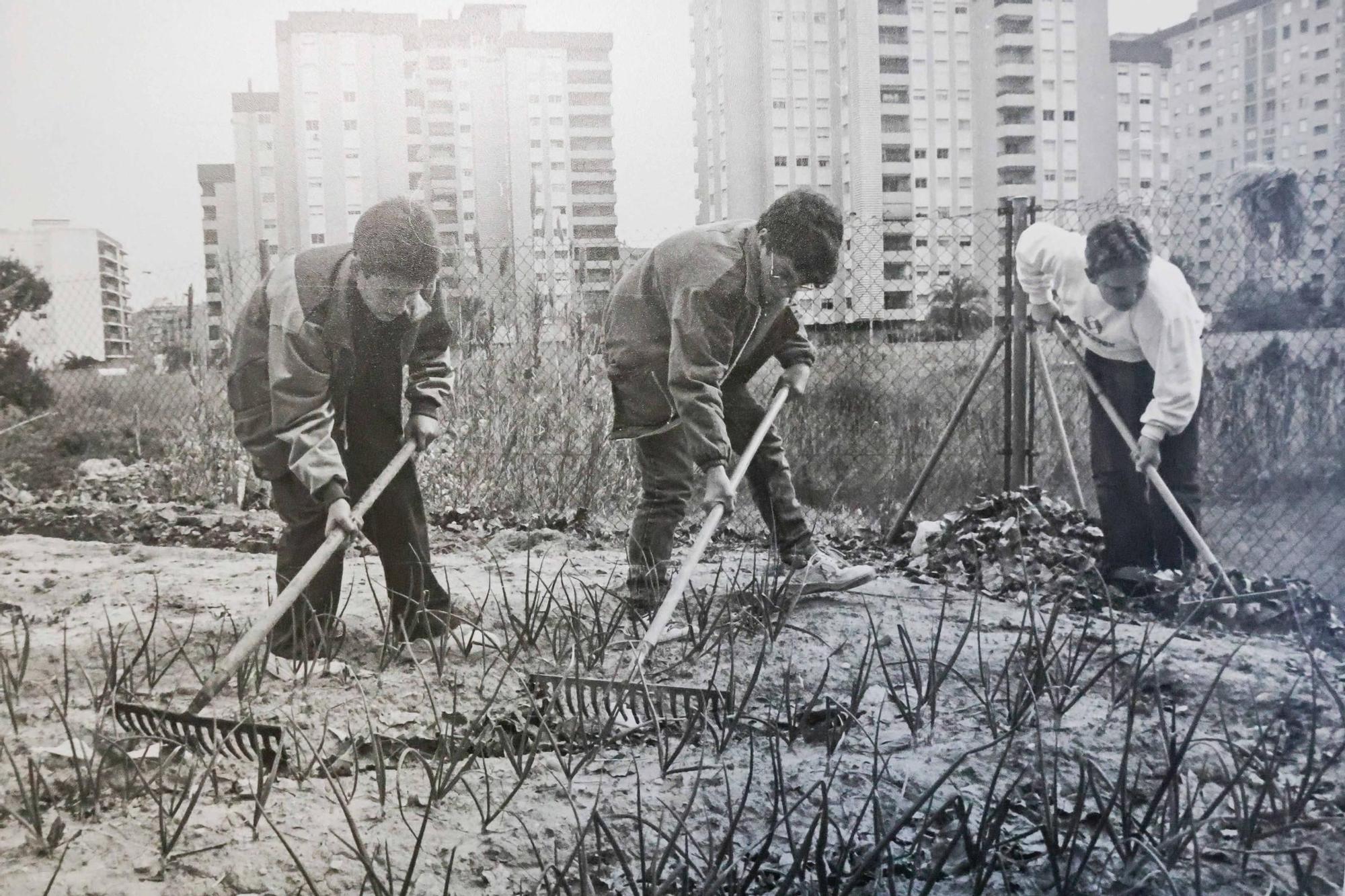 La Valencia desaparecida: Todo esto antes era huerta