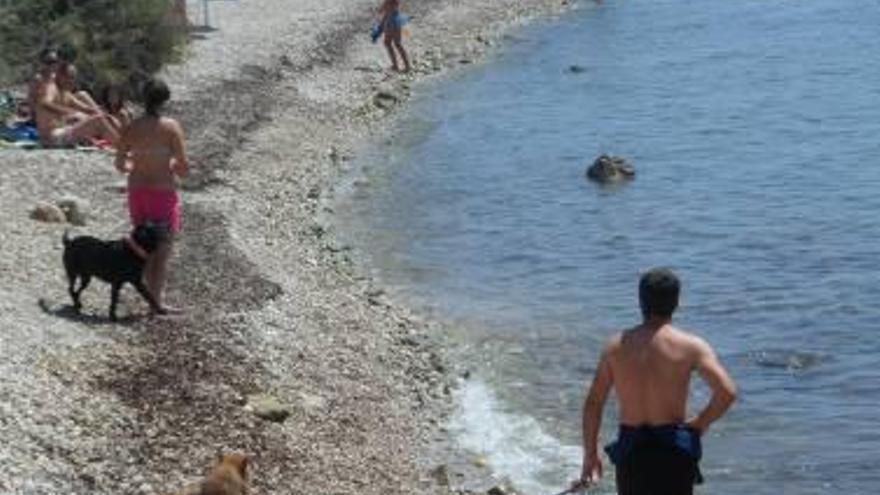 La playa canina afronta su segundo verano sin resolver sus problemas