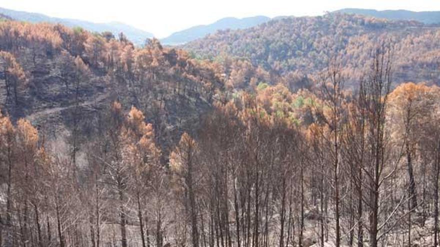 Imagen de archivo de la Sierra de Morna tras el incendio.