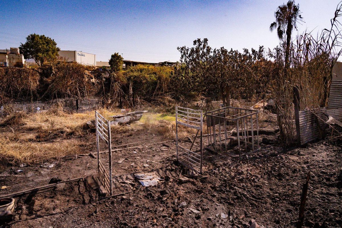 El 1 de julio de 2025, un día después del incendio, la zona cero en las barracas cercanas al Port de Barcelona revela las cenizas de lo que fueron muebles, herramientas y elementos de huerto, testimonio de la destrucción causada por el fuego.