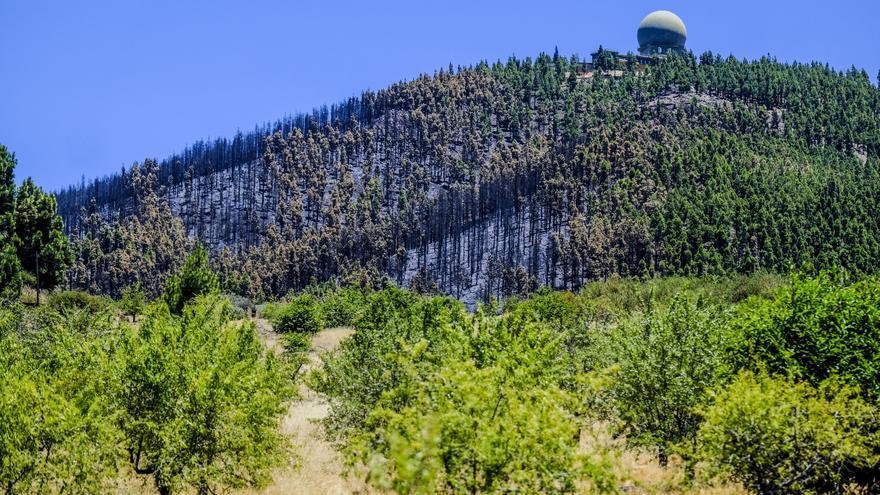 De turismo a la &#039;zona cero&#039; del incendio forestal de Gran Canaria