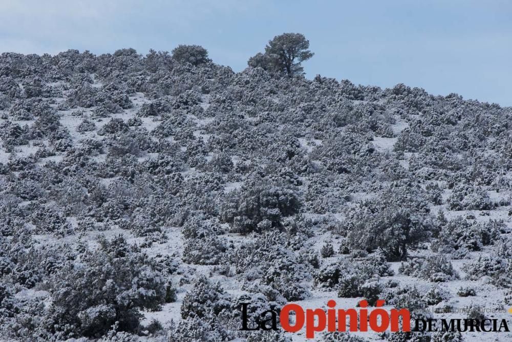 Nieve en el Noroeste