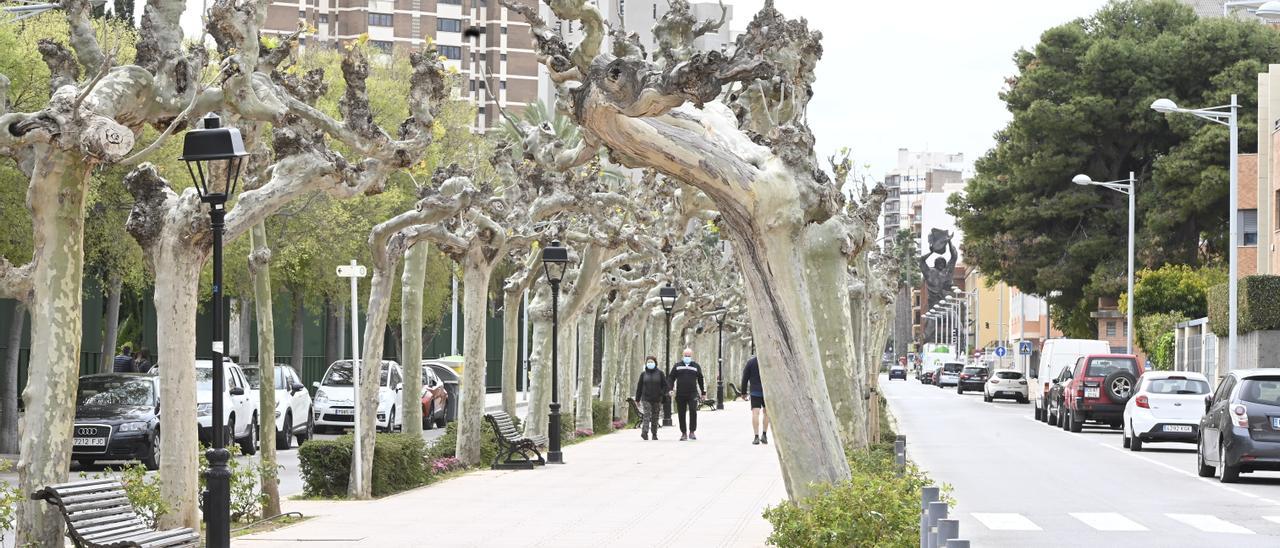 Segundo tramo de la avenida de Lledó, junto al parque Rafalafena de Castelló.