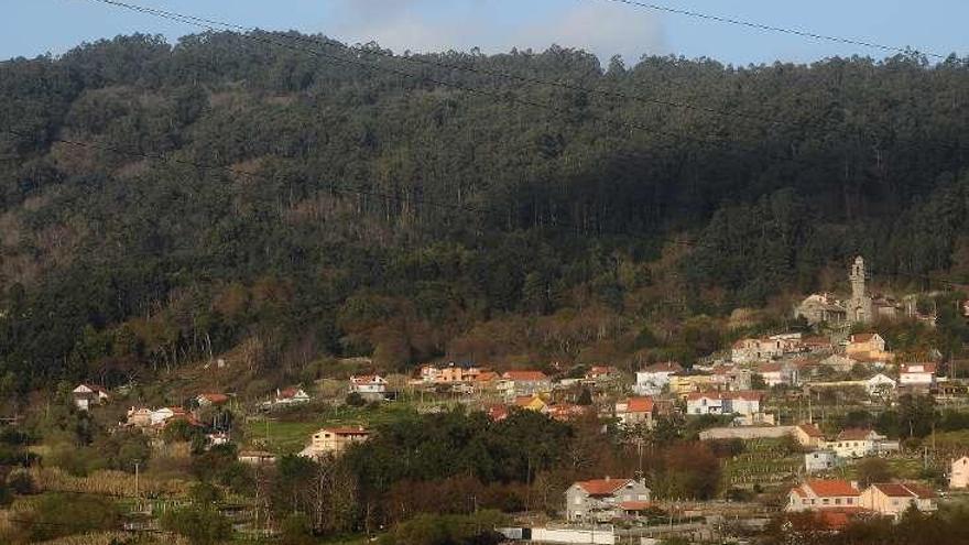 Los comuneros quieren dar a conocer el monte. // G.Núñez