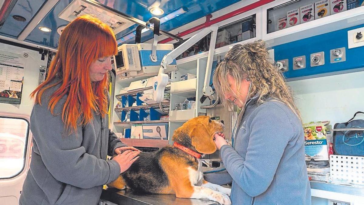 Gurevet, clínica veterinaria móvil creada por Teresa Etxarri, que fue seleccionada por Tierra de Oportunidades en Navarra.